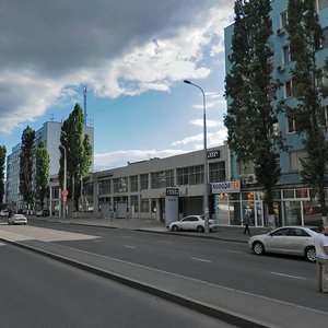 Balkivska vulytsia, 120, : foto