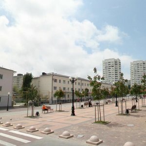 Lenina Avenue, 20А ، : صورة