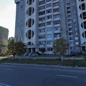 Prospekt Inzhenera Preobrazhenskoho, 33, Zaporizhia: photo