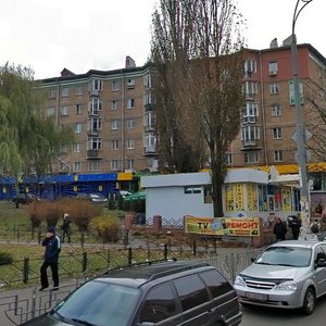 Ushynskoho Street, 1Б, Kyiv: photo