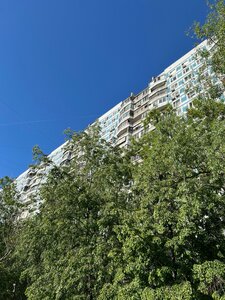 Москва, Братеевская улица, 21к2: фото