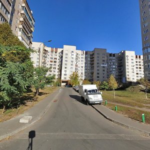 Borschahivska Street, 173/187, Kyiv: photo