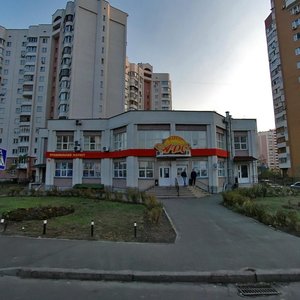 Киев, Вишняковская улица, 9Б: фото