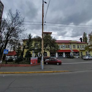 Mytropolyta Vasylia Lypkivskoho Street, 33, Kyiv: photo