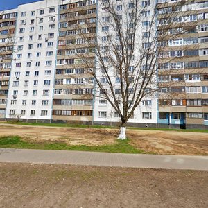 Mayakovskogo Street, 13, Balashiha: photo