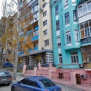 Pankivska Street, 19, Kyiv: photo