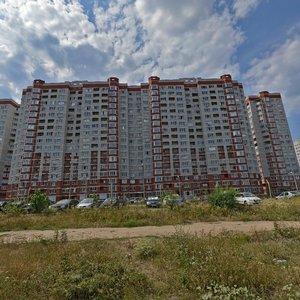 Vladimira Nevskogo Street, 38Е, : foto