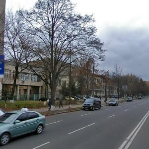 Vasylkivska Street, 45, Kyiv: photo