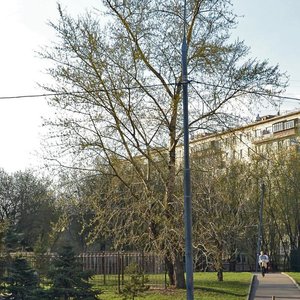 Москва, Учебный переулок, 4с1: фото