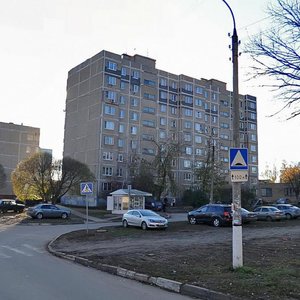 Roschinskaya Street, 17, Podolsk: photo