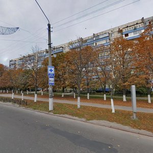 Vulytsia Kyivskyi Shliakh, 39 ، : صورة