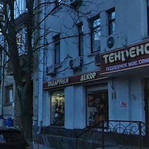 Olesia Honchara Street, 4, Kyiv: photo
