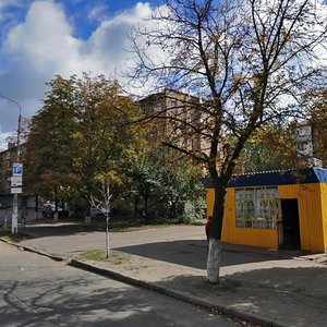 Svitlytskoho Street, 23, Kyiv: photo