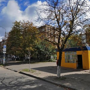 Svitlytskoho Street, 23, Kyiv: photo