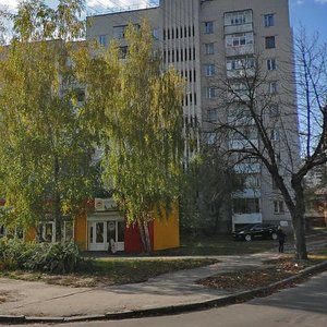 Piatnytska vulytsia, 74, Chernihiv: photo