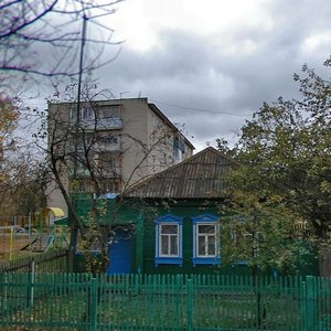 Kirova Street, 50, Kurovskoye: photo