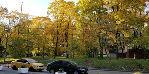 Kutuzovsky Avenue, 71 ، موسكو: صورة