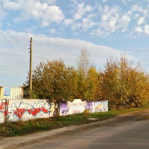 Городец, Новая улица, 105А: фото