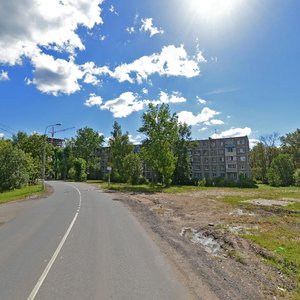 Shkolnaya Street, 49, Podolsk: photo