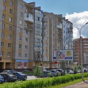 Pskovskaya Street, 29 ، : صورة