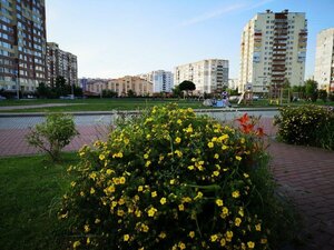 Soglasiya Street, 46, : foto