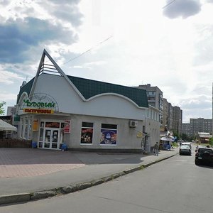 Vulytsia Pyrohova, 94А, Vinnytsia: photo