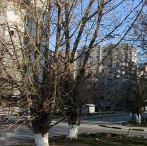 Orbitalnaya Street, 66/2 ، روستوف نا دونو: صورة