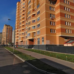 Karamyshevskaya Embankment, 4к1, Moscow: photo