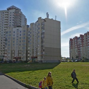 Napalieona Ordy Street, 25, Minsk: photo