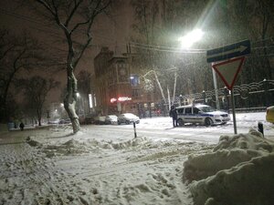 Chaykovskogo Street, 4А, Voronezh: photo