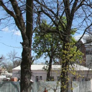 1st Mayskaya Street, 17, Rostov‑na‑Donu: photo