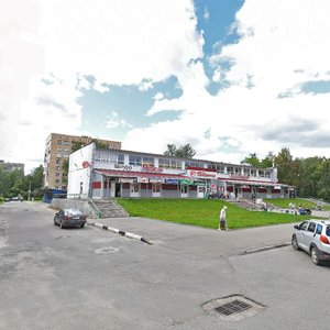 Черноголовка, Первая улица, 8: фото