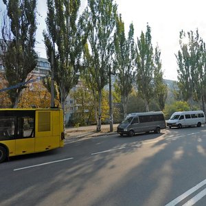 Vulytsia Chumachenka, 23, Zaporizhia: photo