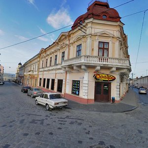 Vulytsia Zankovetskoi, 16 ، : صورة