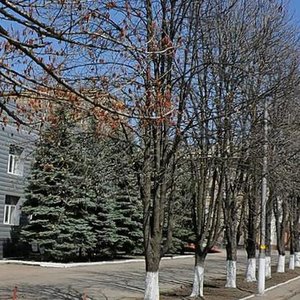 Prospekt Vyzvolennia Donbasu, 11А, Donetsk: photo