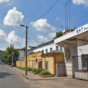 Vulytsia Bohdana Khmelnytskoho, 207 ، لفيف: صورة
