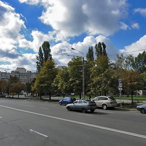 Vasylia Poryka Street, 13, Kyiv: photo