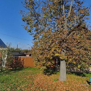 Ulitsa Shakhovskogo, 3, Suzdal: photo