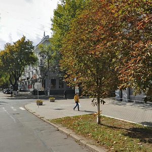 Николаев, Фалеевская улица, 9Б: фото