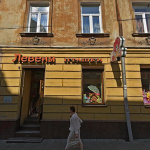 Vulytsia Kniazia Romana, 11, Lviv: photo