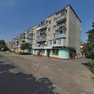 Vulytsia Dmytra Yavornytskoho, 8, Lviv: photo