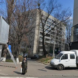 Lesi Ukrainky Boulevard, 5А, : foto