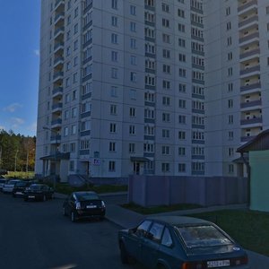 Niescierava Street, 98, Minsk: photo