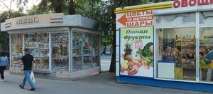 Dekabristov Street, 31 ، يكاترينبورغ: صورة