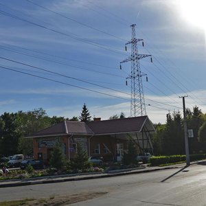 Омск, Улица Лизы Чайкиной, 12: фото