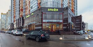 Leninskiy Avenue, 84к1, Saint Petersburg: photo