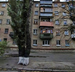 Vvedenska Street, 32, Kyiv: photo