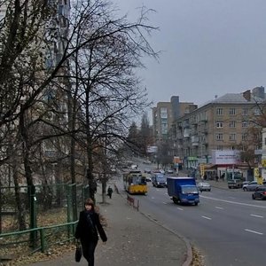 Metalistiv Street, 35/15, Kyiv: photo