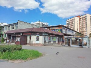 Veteranov Avenue, 53, Saint Petersburg: photo