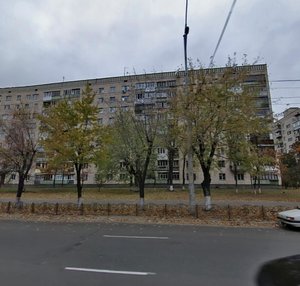 Lisovyi Avenue, 3, Kyiv: photo